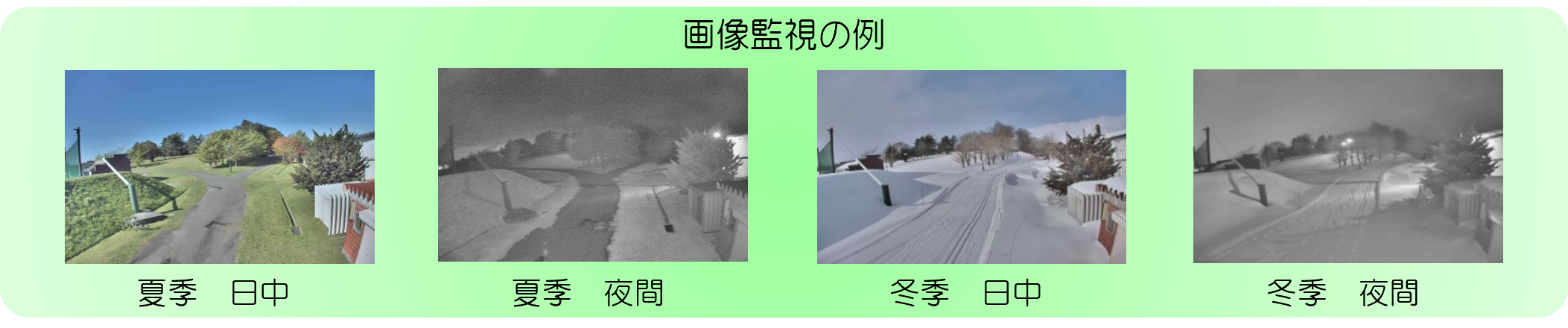 ネットワークカメラが写した画像の例